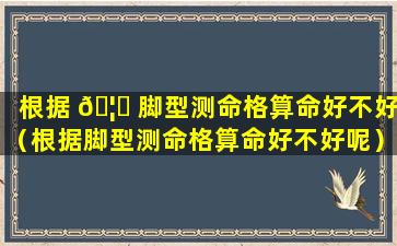 根据 🦋 脚型测命格算命好不好（根据脚型测命格算命好不好呢）